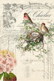 Roycycled Decoupage Paper - Bird Ephemera - Vintage Revival Design Co