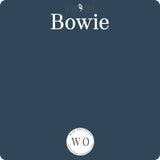 Wise Owl Chalk Synthesis Paint - Bowie - Vintage Revival Design Co