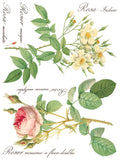 ROSE BOTANICAL - IOD TRANSFER 12×16 PAD™ - Vintage Revival Design Co