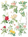 ROSE BOTANICAL - IOD TRANSFER 12×16 PAD™ - Vintage Revival Design Co