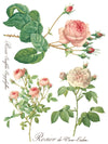 ROSE BOTANICAL - IOD TRANSFER 12×16 PAD™ - Vintage Revival Design Co