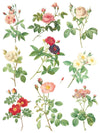 ROSE BOTANICAL - IOD TRANSFER 12×16 PAD™ - Vintage Revival Design Co