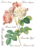 ROSE BOTANICAL - IOD TRANSFER 12×16 PAD™ - Vintage Revival Design Co