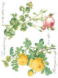 ROSE BOTANICAL - IOD TRANSFER 12×16 PAD™ - Vintage Revival Design Co