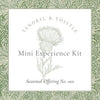 Tendril and Thistle Mini Experience - Exclusive Offer - Vintage Revival Design Co