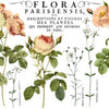 Flora Parisiensis 24x33 Decor Transfer™ - Vintage Revival Design Co