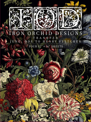 Exploration Decor Transfer™ by IOD (Pad of 8 - 12x16 sheets) - Iron  Orchid Designs