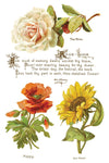 Iron Orchid Designs IOD TRANSFER 8x12 PAD™ - LOVER OF FLOWERS - Vintage Revival Design Co