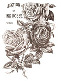 May's Roses - IOD 12 x 16 PAD Decor Transfer™ - Vintage Revival Design Co