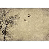Mint by Michelle Decoupage Paper - Flying Birds - Vintage Revival Design Co