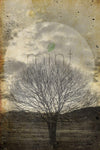 Mint by Michelle Sepia Tree Decoupage Paper - Vintage Revival Design Co