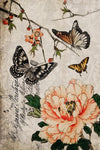 Roycycled Decoupage Paper - Butterfly Floral - Vintage Revival Design Co