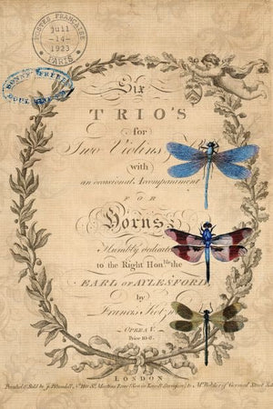 Roycycled Decoupage Paper - Dragonflies - Vintage Revival Design Co