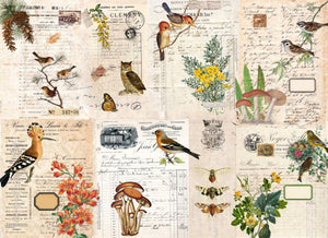 Roycycled Decoupage Paper - Fall Botanical Blocks - Vintage Revival Design Co