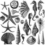 SEASHORE 12×12 IOD STAMP - Vintage Revival Design Co