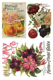 Seed Catalogue - IOD TRANSFER 8x12 PAD™ - Vintage Revival Design Co