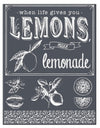 When Life Gives You Lemons Tri-Mesh Reusable Stencil 8.5 x 11 by A Maker's Studio - Vintage Revival Design Co