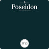 Wise Owl Chalk Synthesis Paint - Poseidon - Vintage Revival Design Co
