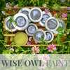 Wise Owl Furniture Salve - Bergamot Lime - Vintage Revival Design Co